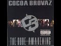 Hip Hop Album Review Part 222 Cocoa Brovaz The Rude Awakening
