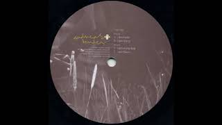 Andreas Bender ‎– I Am Disco (1998)