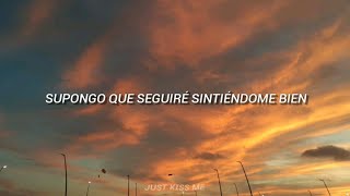 Okke Punt – Mr. Help Me Out (Sub. Español)