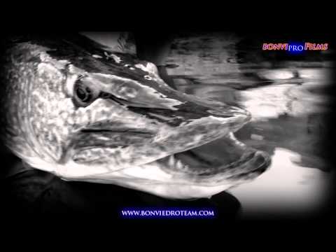 PESCA de LUCIOS GIGANTES | BIG PIKE FISHING | HD | bofishing.es