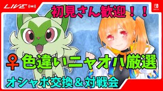 オシャボ交換＆対戦会！+証が無かったら即配布！色違い粘り配信！ を大手Vの生放送に出た話と一緒に...初見さん歓迎！【ポケモンSV】