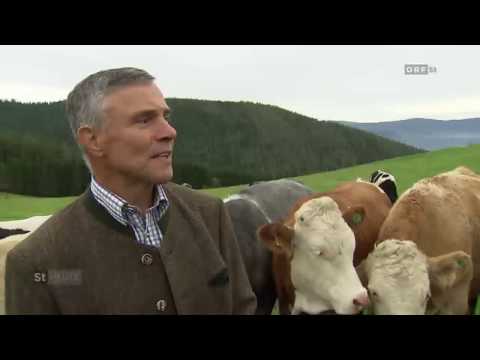 Steirische Landwirtschaft - Almsommerbilanz