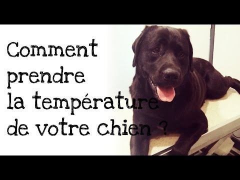 comment prendre temperature