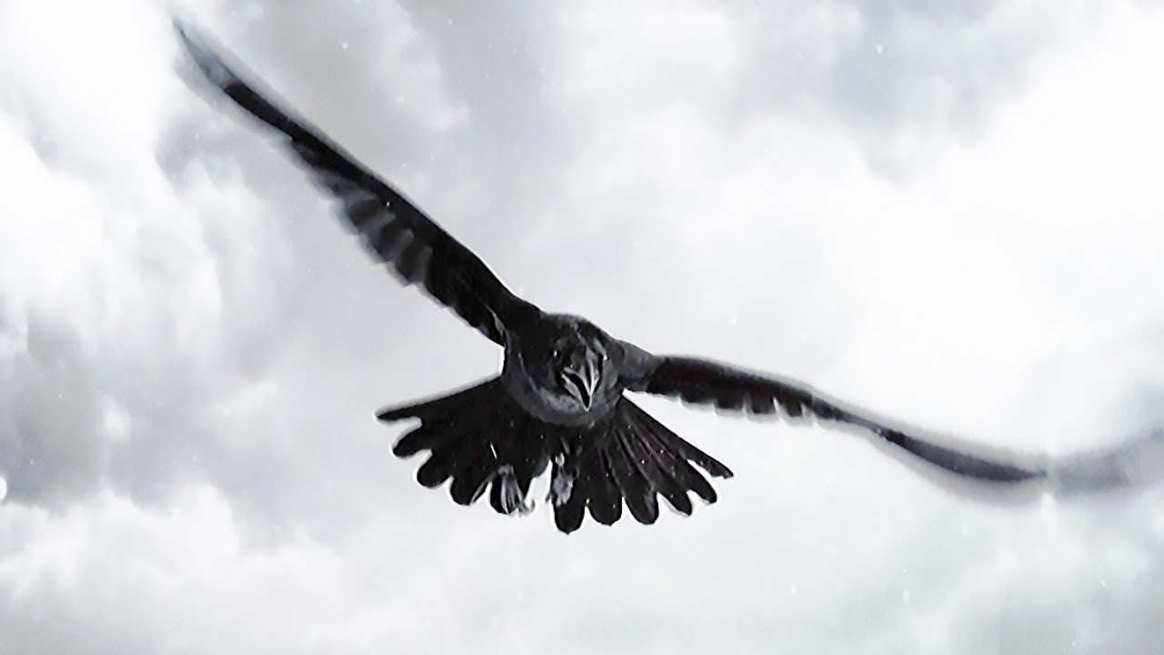 Walk In Darkness ft. Emiliano Pasquinelli — Heavy Wings of Destiny