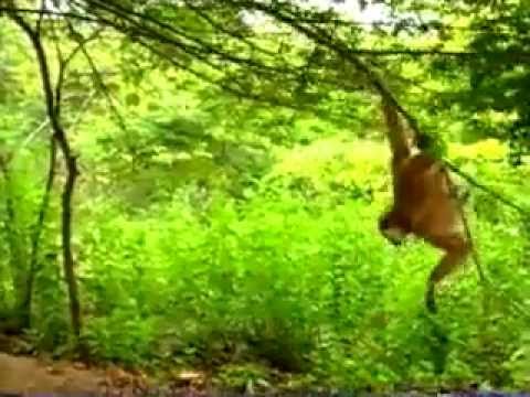 Wyluzujcie-tak to wygląda z boku...