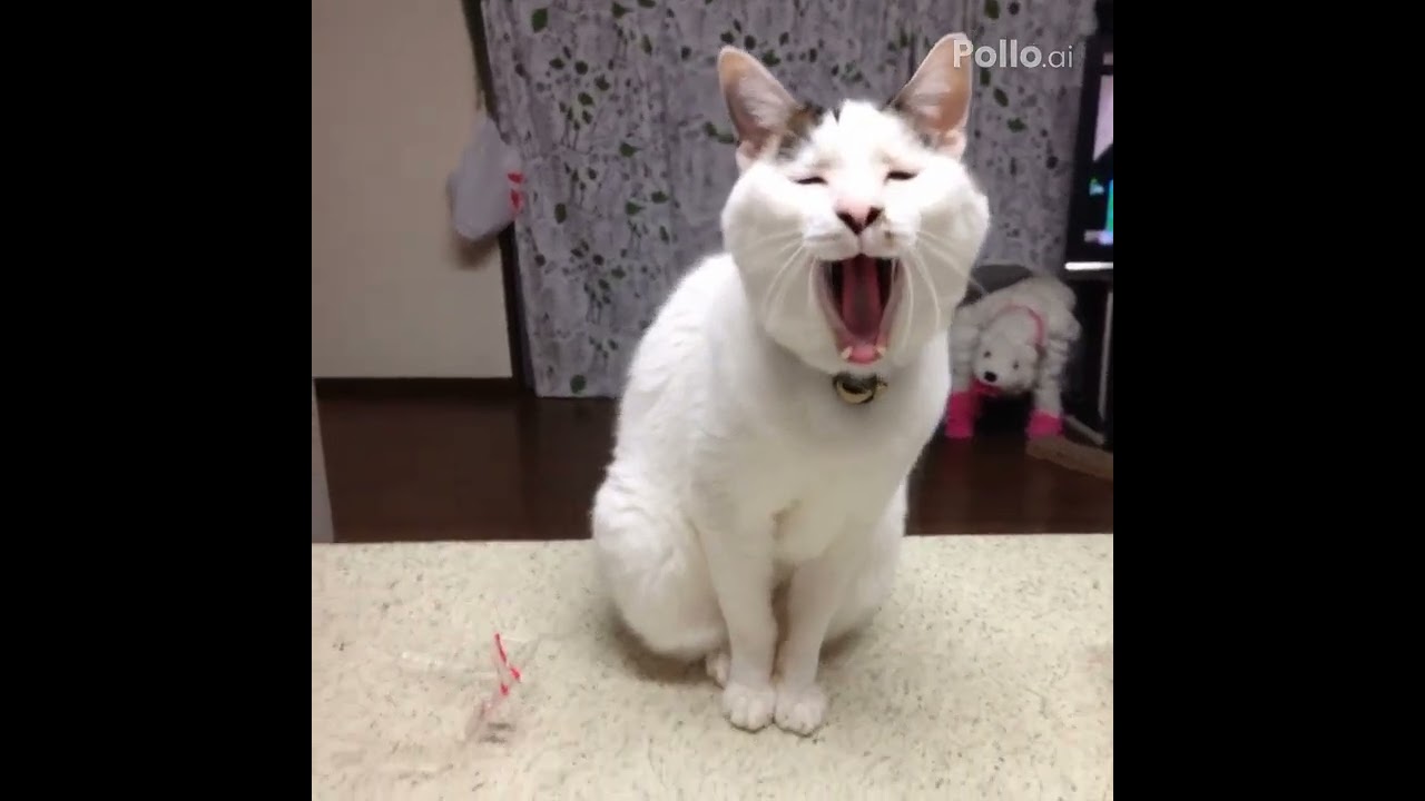 ヨウカンさんがティッシュボックスに宿る。AIで遊んでみました。