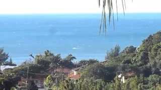 preview picture of video 'Baleia Franca na praia do Morro das Pedras, em Florianópolis (SC) - 30/06/2014'