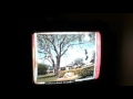 Afv Honorable Mentions S17e22