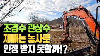 조경수 관상수 재배는 농사로 인정받지 못할까 | 나무대장
