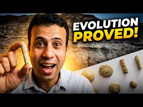 Marine Fossils: The Evidence That Evolution Is Real