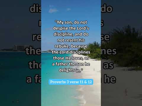 Bible Verse | Proverbs 3:11-12 #godsword #jesuschrist #biblequotes #bible #discipline #biblestudy