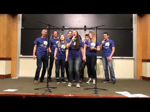 Light Up the Sky (Winter 2016 Concert Song)