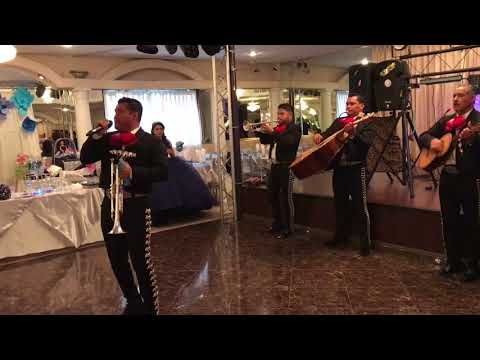 download lagu mp3 mp4 Mariachi Perla, download lagu Mariachi Perla gratis, unduh video klip Mariachi Perla