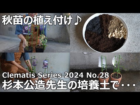 Villes et Villages Fleuris コンクールの特別賞