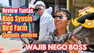 Download lagu 🕊Ko Icon Review Kios Syusin Bird Farm Specialist Jembros Bekasi 🔥Relaxed Prices, The Birds Are No... mp3