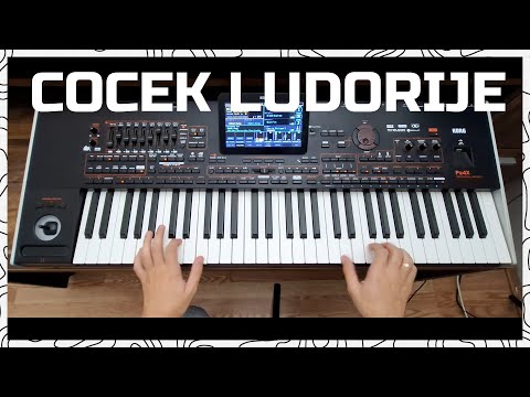 Cocek Ludorije MIX // MARKO MX - Cocek, Oriental & Improvizacije - KORG Pa4x!