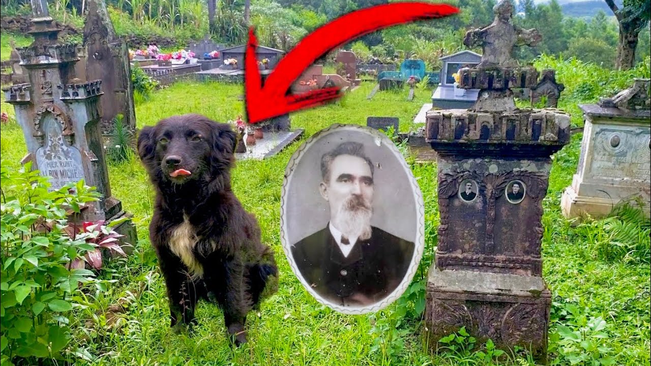 ELE DEU UM TIR0 EM SUA PRÓPRIA CABEÇ4! VOVÔ CONTA A HISTÓRIA