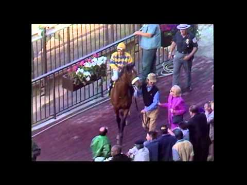 Sky Beauty - 1993 Acorn (G1)