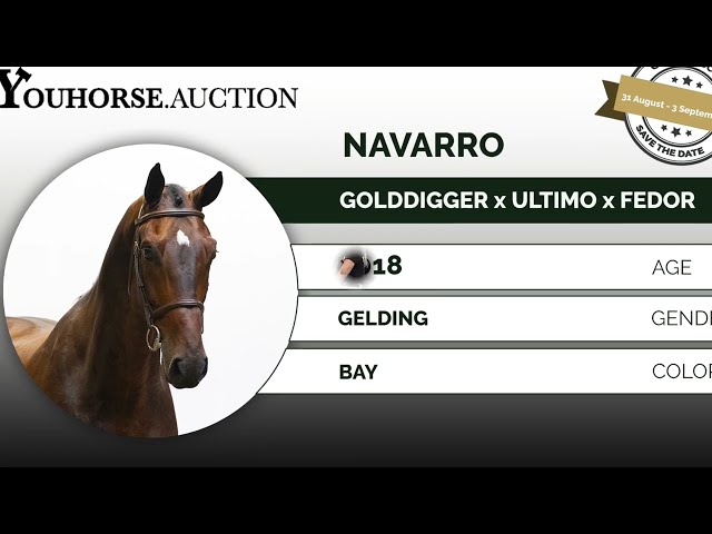 Navarro