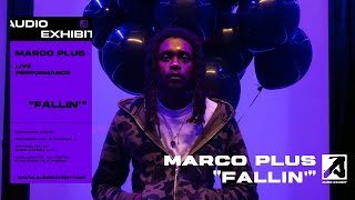 MARCO PLUS - Performance