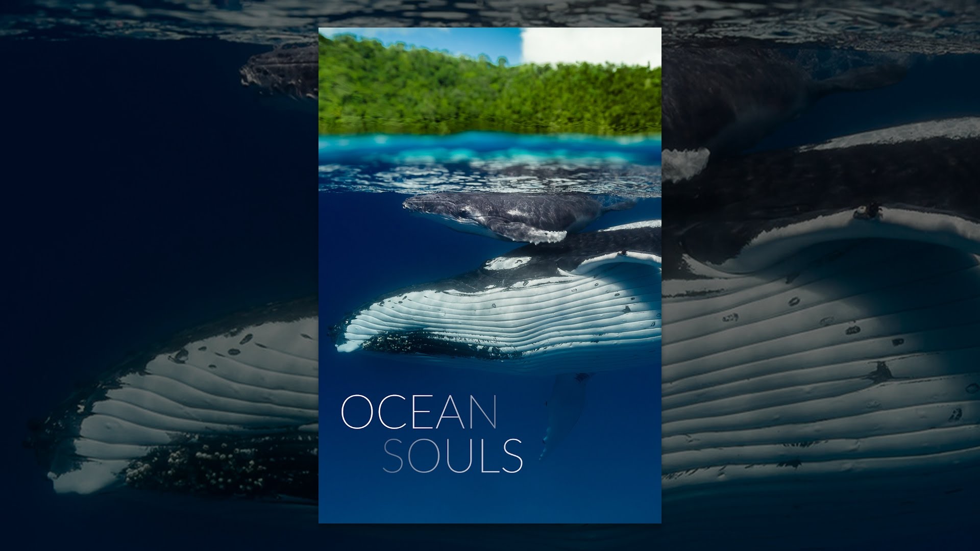 "Ocean Souls" Full Documentary