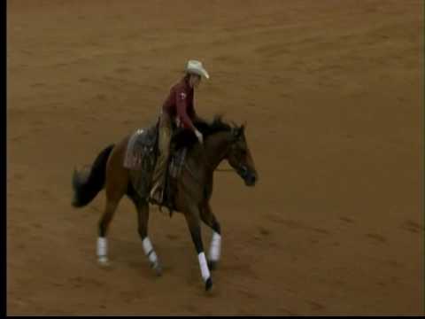 Sioux Me Mama- 2015 SRCHA Rode to Reno rein work