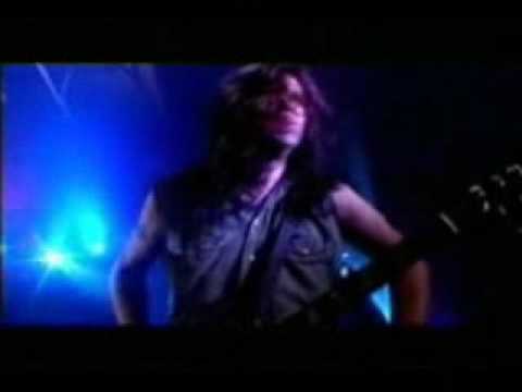 Barricada - animal caliente