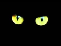 Gui boratto - Stems From Hell