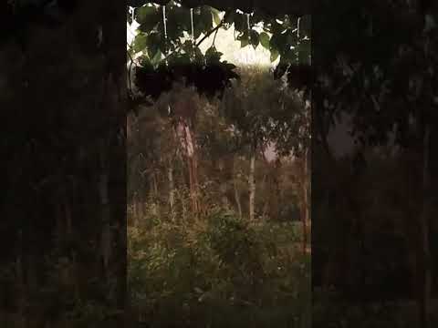 🌧️❤️||📷 Rydersujoy ✌️.     #rydersujoy #ytshorts #shorts #nature#indianshorts#viralvideos#videofthda