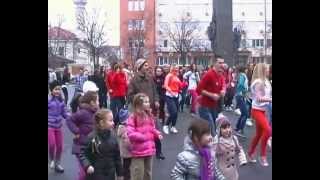preview picture of video 'Flash mob Bijeljina 1'