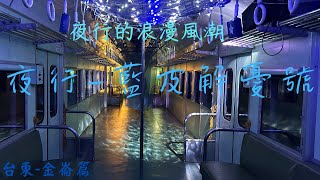 最冷門卻又最好玩!2023仲夏限定-夜行藍皮解憂號。沿途導覽與解說!夜行的浪漫風潮，山海夾擊的美景!眼中有鐵，台灣鐵道紀錄片-夜行藍皮解憂號篇Ep.1