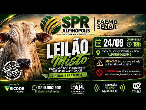 🎥 Leilão Presencial e Virtual Sindicato de Alpinópolis - 🎬 tvgado.com.br