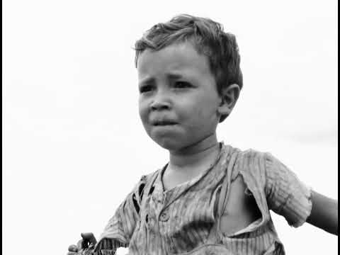 Vidas Secas (Barren Lives) - [Nelson Pereira dos Santos, 1963]