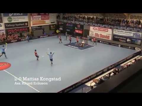 141228 Warberg   Mora, alla målen