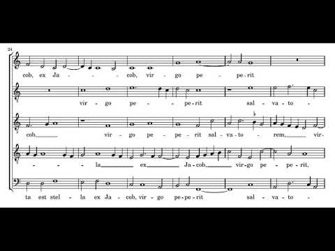 Willaert: Germinavit radix Jesse - Singer Pur