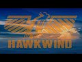 HAWKWIND Chronoglide Skyway live 76