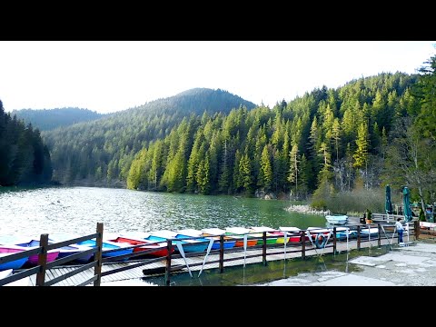 Lacul Rosu. Cheile Bicazului. Aprilie 2021