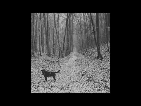 William Malcolm / NIGHTRUN87 - My Everything is You