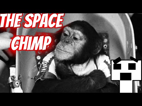 THE AMAZING ANIMALS THAT CHANGED HISTORY!