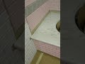 Окончание работы в ванной комнате. Shorts. Окончание работы в ванной комнате. Shorts.