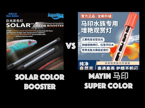 Which light is best? Solar Color Booster vs MaYin Super Color Plus Review and Comparison