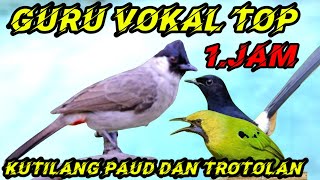 Download lagu masteran kutilang gacor full isian murai batu & cucak ijo mp3