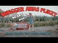 Download Lagu Mingger Awas Pliket - Raja Panci feat Mala Agatha Mp3 Free