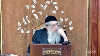 הרה"ג הרב וועכטר שליט"א כ"ג ניסן תשפ"ה - מאמר הצמח צדק שיר השירים (הרב אברהם מנחם מענדל וכטר) - התמונה מוצגת ישירות מתוך אתר האינטרנט יוטיוב. זכויות היוצרים בתמונה שייכות ליוצרה. קישור קרדיט למקור התוכן נמצא בתוך דף הסרטון