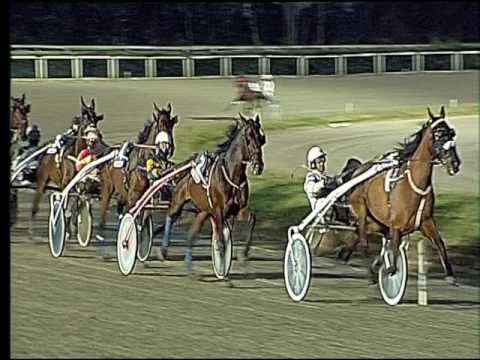 Trotto 05/03/2017 - 7ª corsa