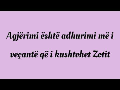 Flladi i një muaji të begatë (1)