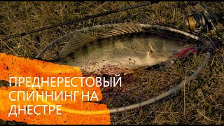 Ссылка