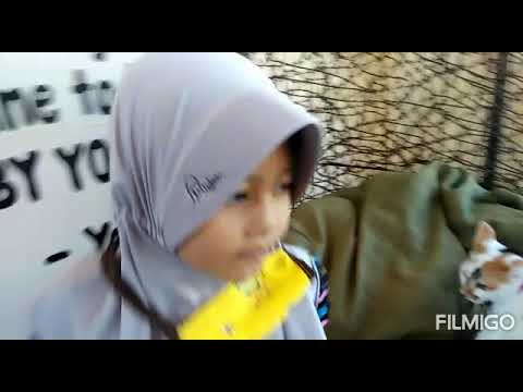 Kamilah @ Neko Cat Cafe Lembang Park & Zoo Lembanh