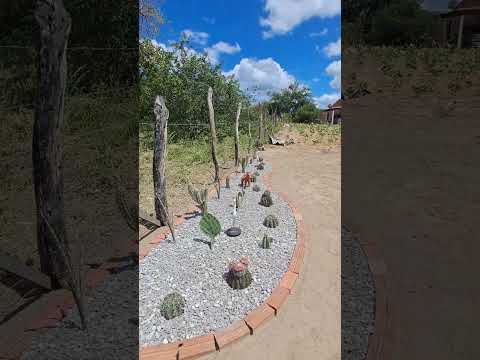 estrada que liga floresta a serra do arapua Pernambuco Brasil sertão