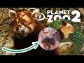 TROUT TIME Red Panda Tree Kangaroo MORE Zoopedia Reveals Planet Zoo 2